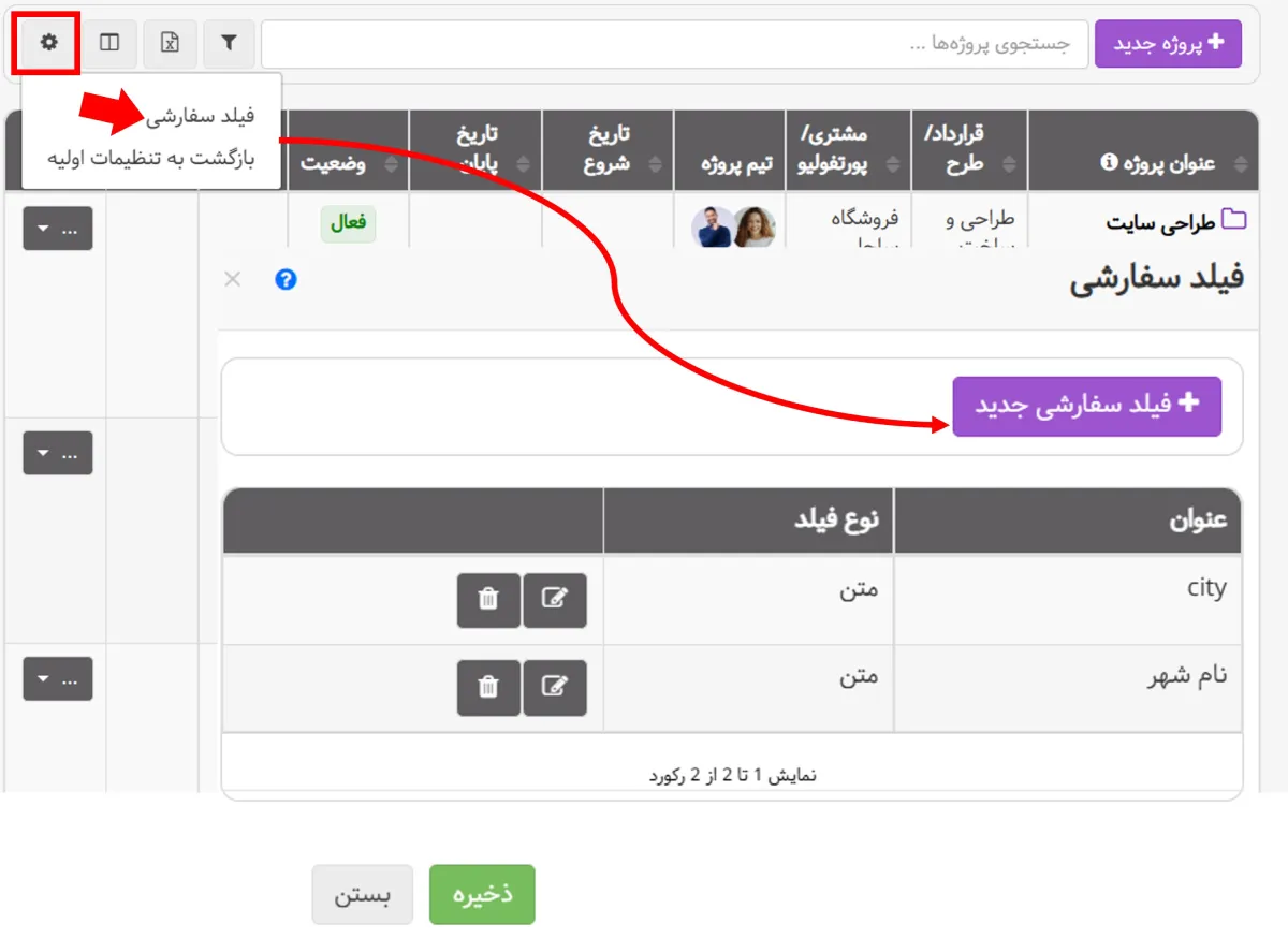 فیلد سفارشی