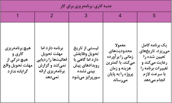 مقیاس رتبه‌بندی رفتاری - سیستم ارزیابی عملكرد کارکنان