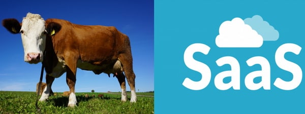 Software as a Service - SaaS