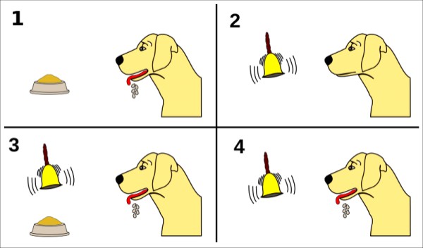 آزمایش پاولوف