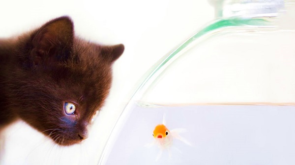 نظارت بر کارکنان و احترام به آنها